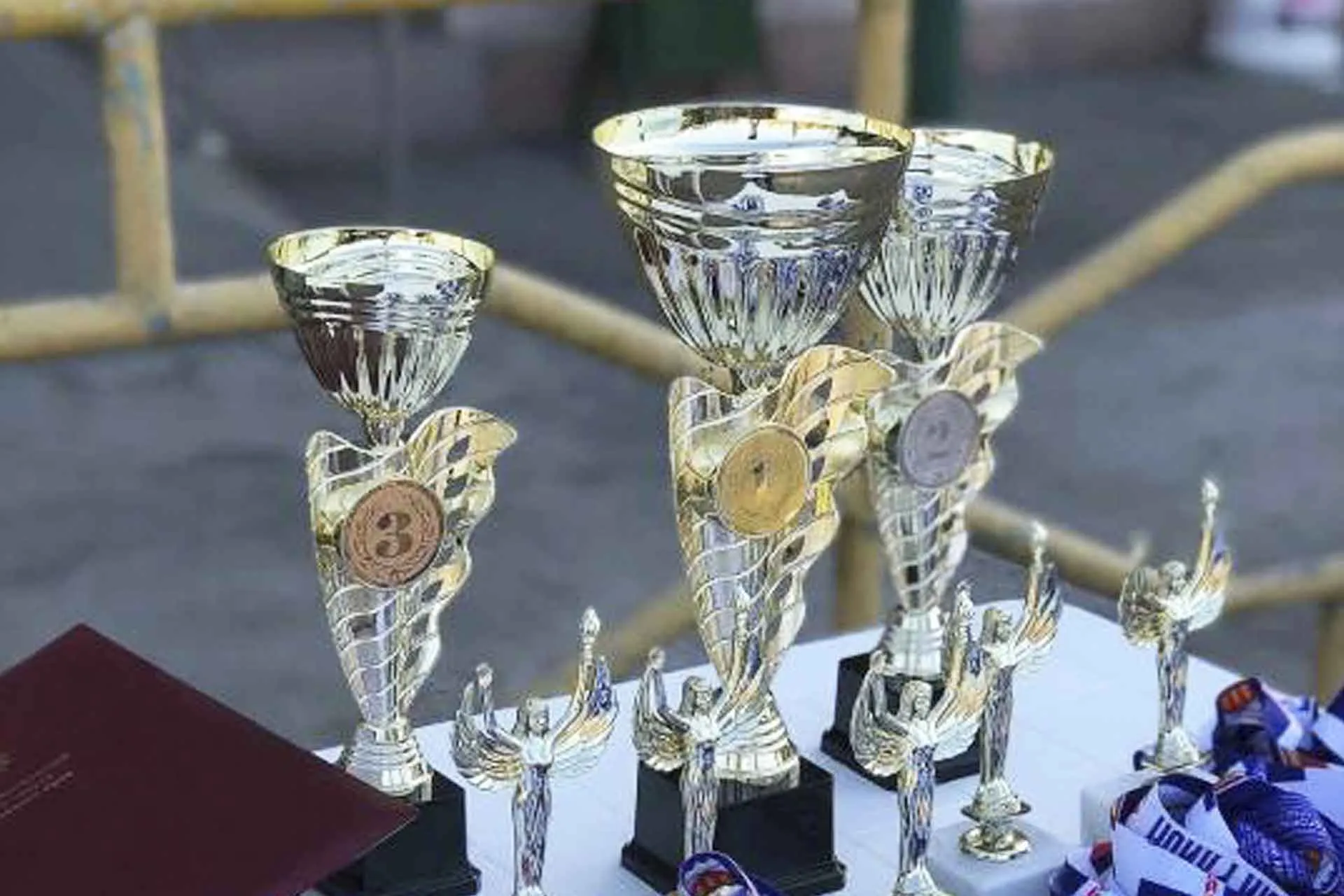 Администрация Предгорного округа Ставропольского края