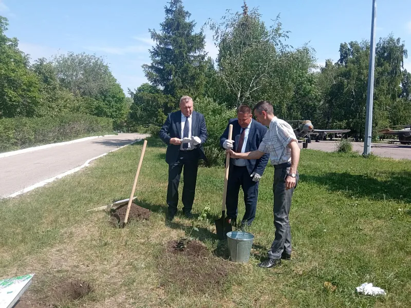 В&nbsp;Саратове высадили саженец тополя Победы