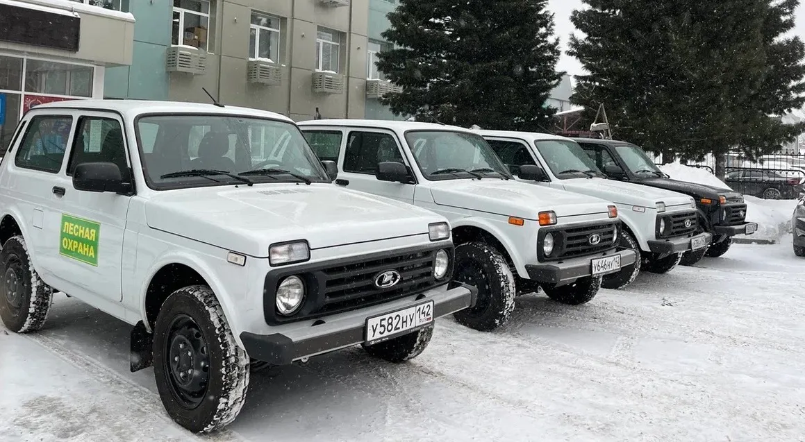 Департамент лесного комплекса Кузбасса