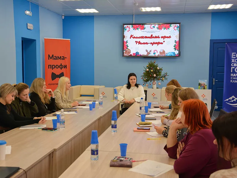 В&nbsp;кадровом центре Брянска прошла заключительная встреча группы &laquo;Мама-профи&raquo;