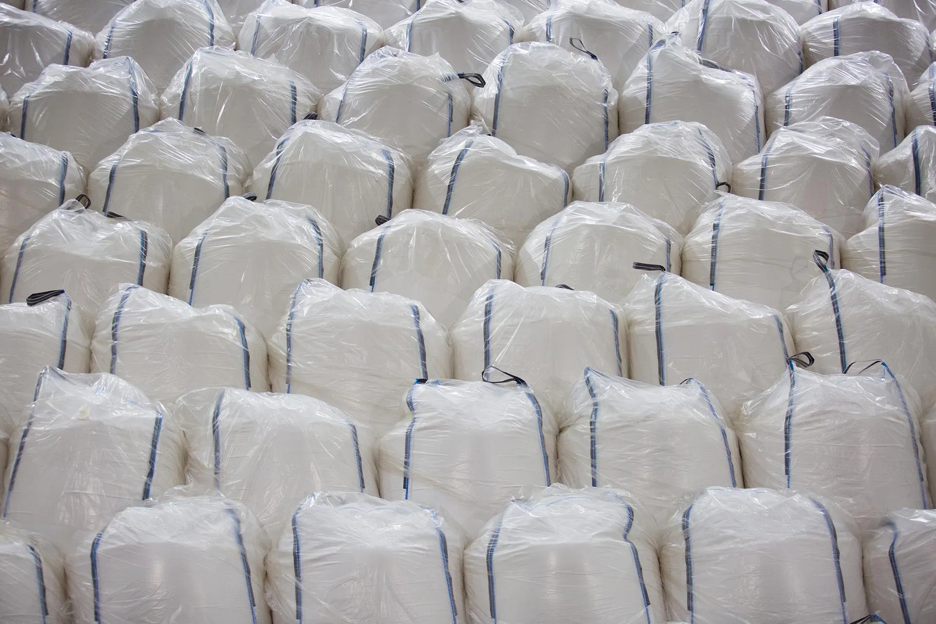 Роман Демьяненко/РИА Новости