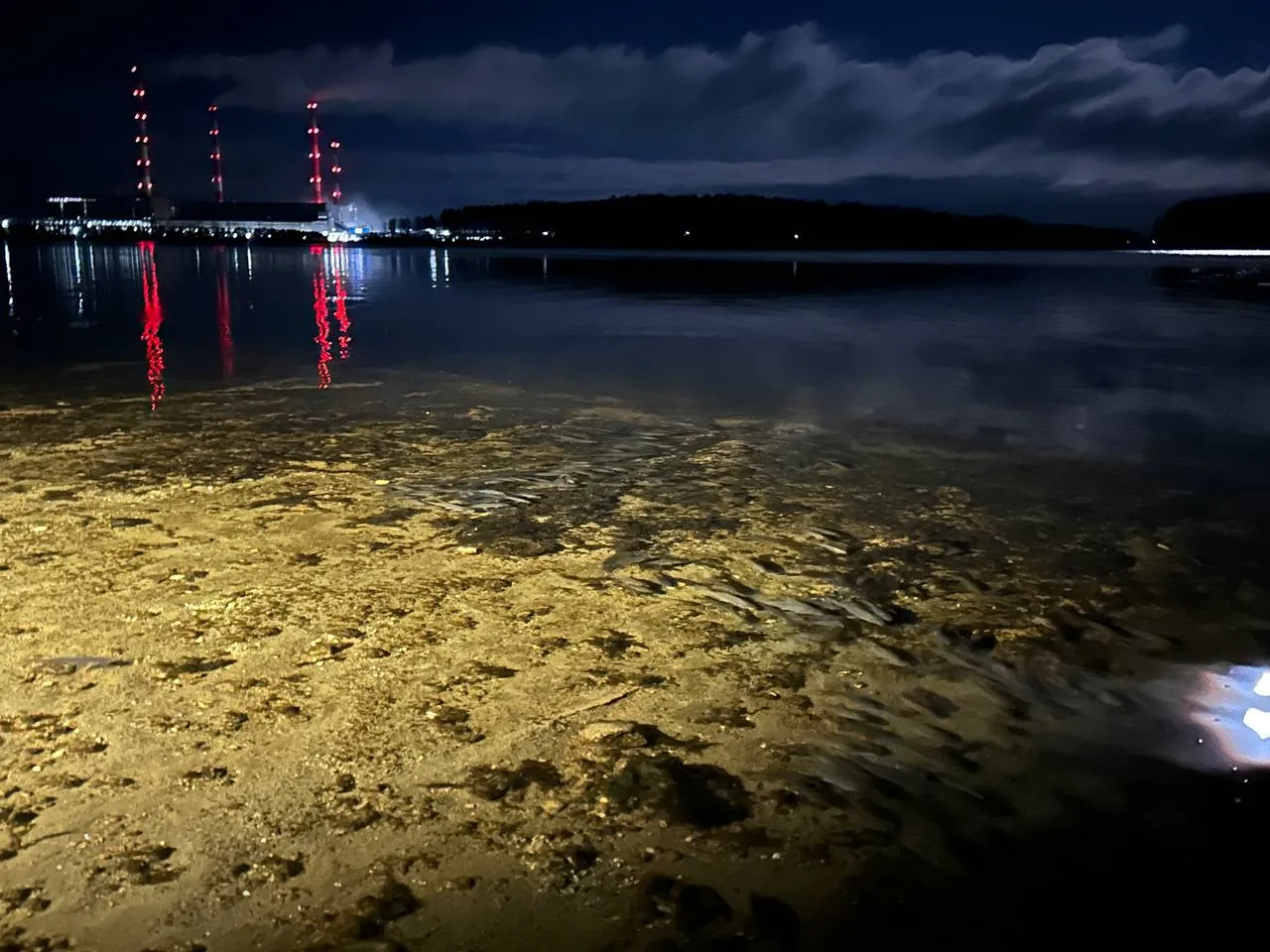 Администрация городского округа Рефтинский