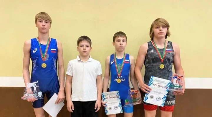 Совет Чистопольского муниципального района