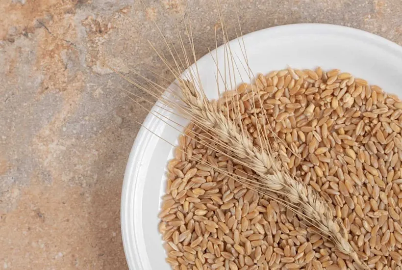 С&nbsp;начала года из&nbsp;Прикамья в&nbsp;Киргизию отправили 704&nbsp;тонны пшеничных отрубей