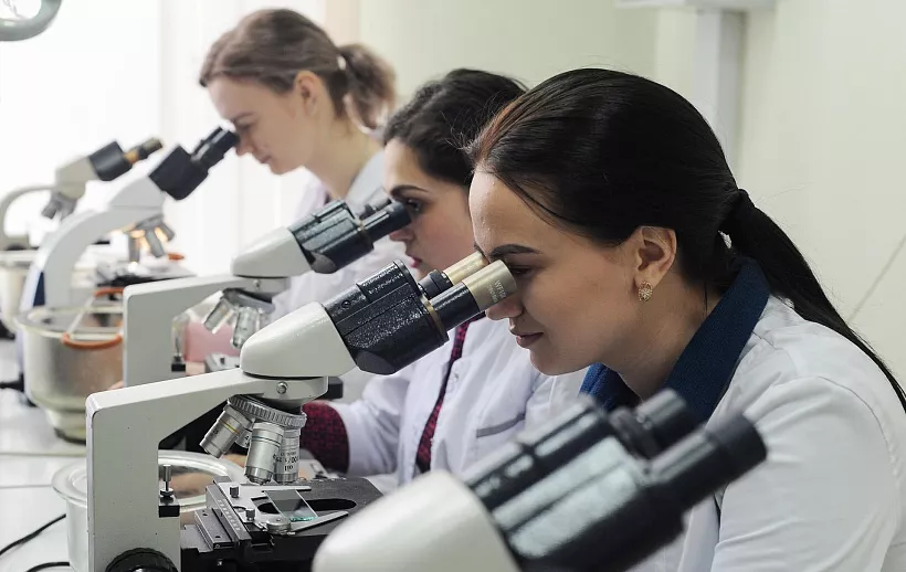 Расширение сети: колледжи и&nbsp;техникумы приглашают в&nbsp;&laquo;Профессионалитет&raquo;