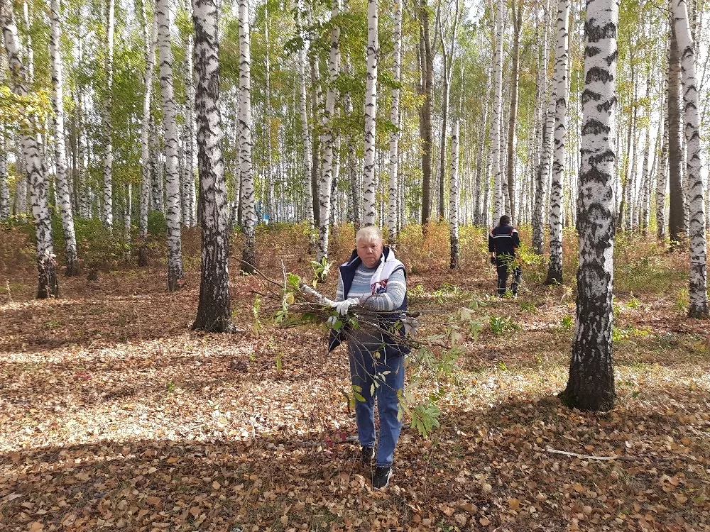 Администрация муниципального района Челно-Вершинский Самарской области