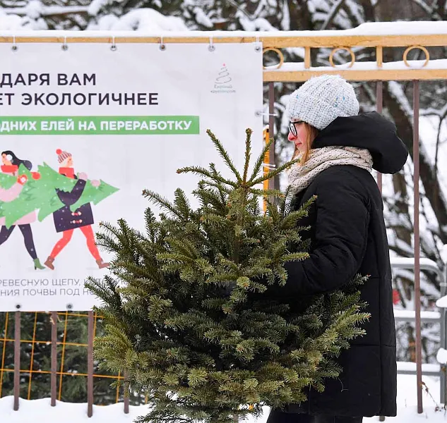 В&nbsp;России работают пункты приема новогодних елок