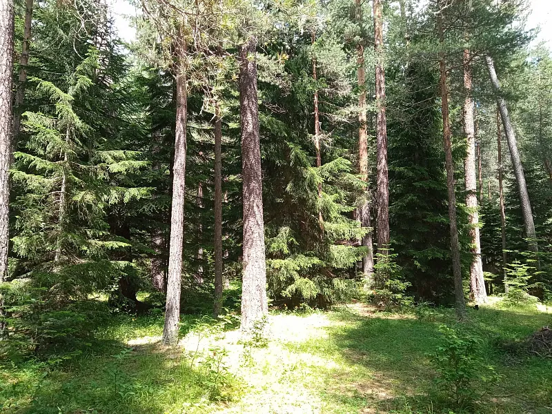 В&nbsp;Волгоградской области началась подготовка к&nbsp;пожароопасному сезону
