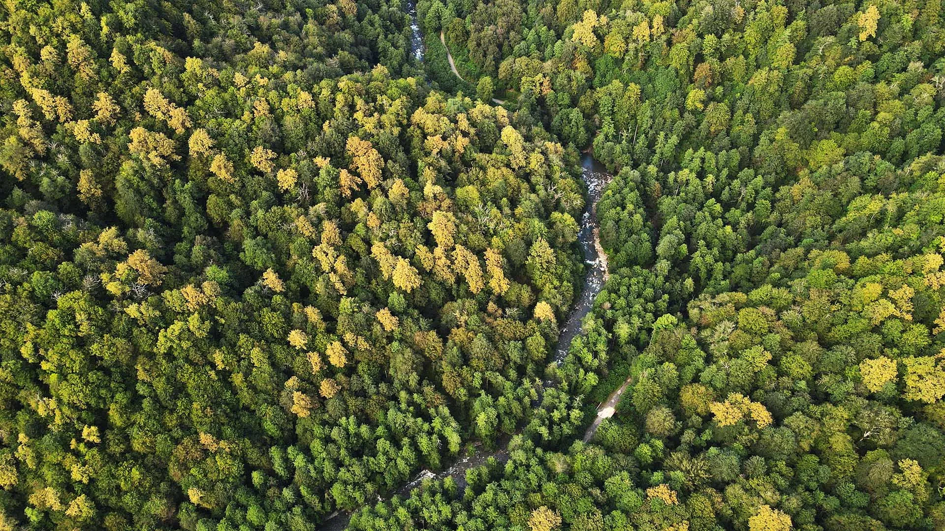 Сергей Пивоваров/РИА Новости