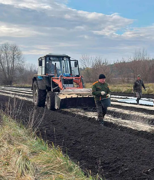 В&nbsp;Липецкой области перевыполнили план по&nbsp;посеву семян лесных культур